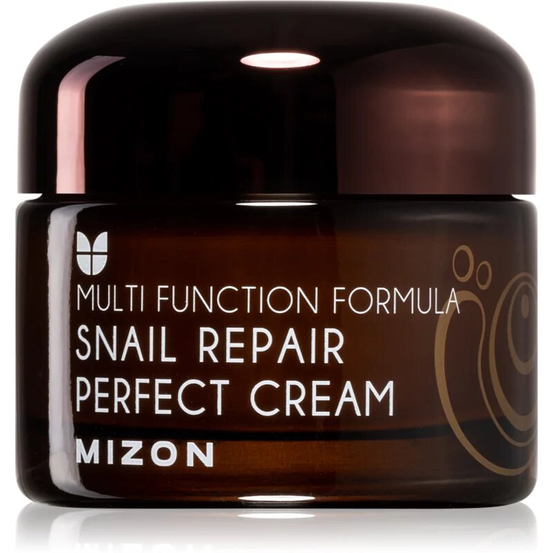 Mizon Multi Function Formula Snail pleťový krém s filtrátem hlemýždího sekretu 60% 50 ml