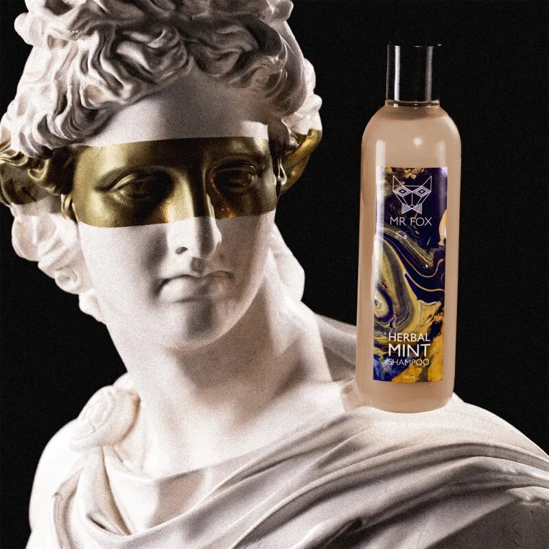 MR FOX Herbal Mint Shampoo bylinný šampon pro muže 250 ml