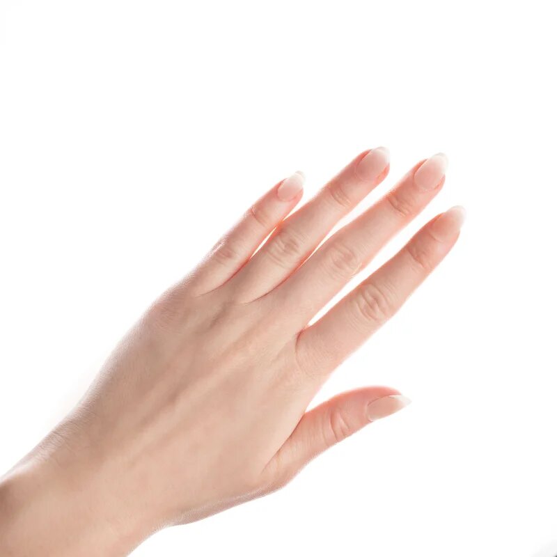 Nail HQ Oval French umělé nehty 24 ks