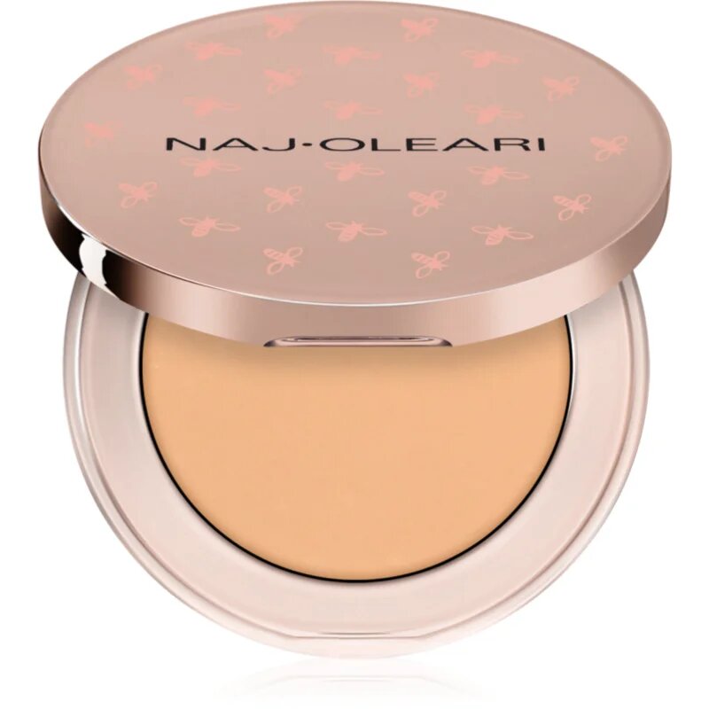 Naj Oleari Ultimate Cover Concealer krycí korektor pro ženy 01 Light Beige 3 g
