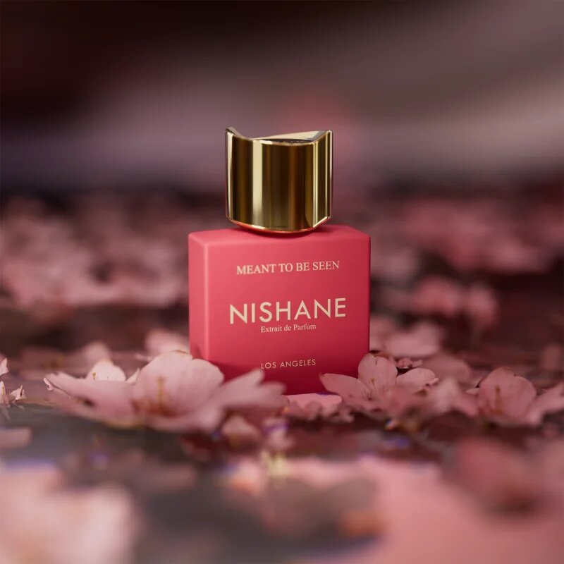 Nishane Meant to Be Seen parfémový extrakt unisex 100 ml