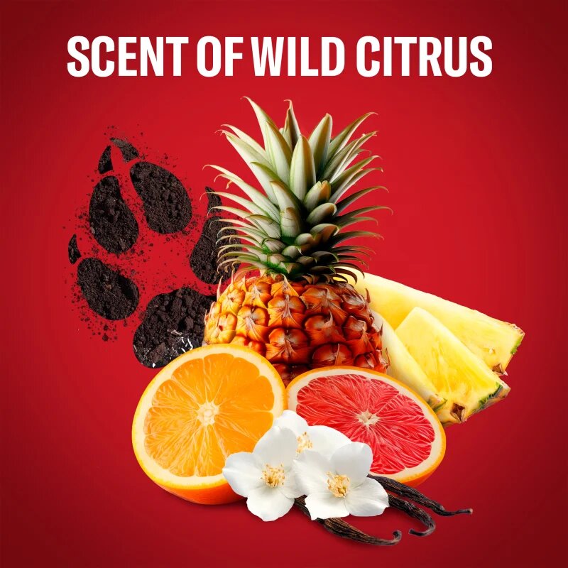 Old Spice Wolfthorn sprchový gel 675 ml