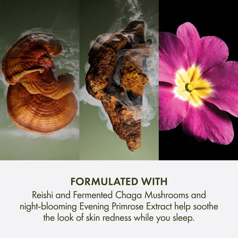 Origins Dr. Andrew Weil for ™ Mega-Mushroom Overnight Recovery Cream zklidňující a hydratační maska na noc 50 ml