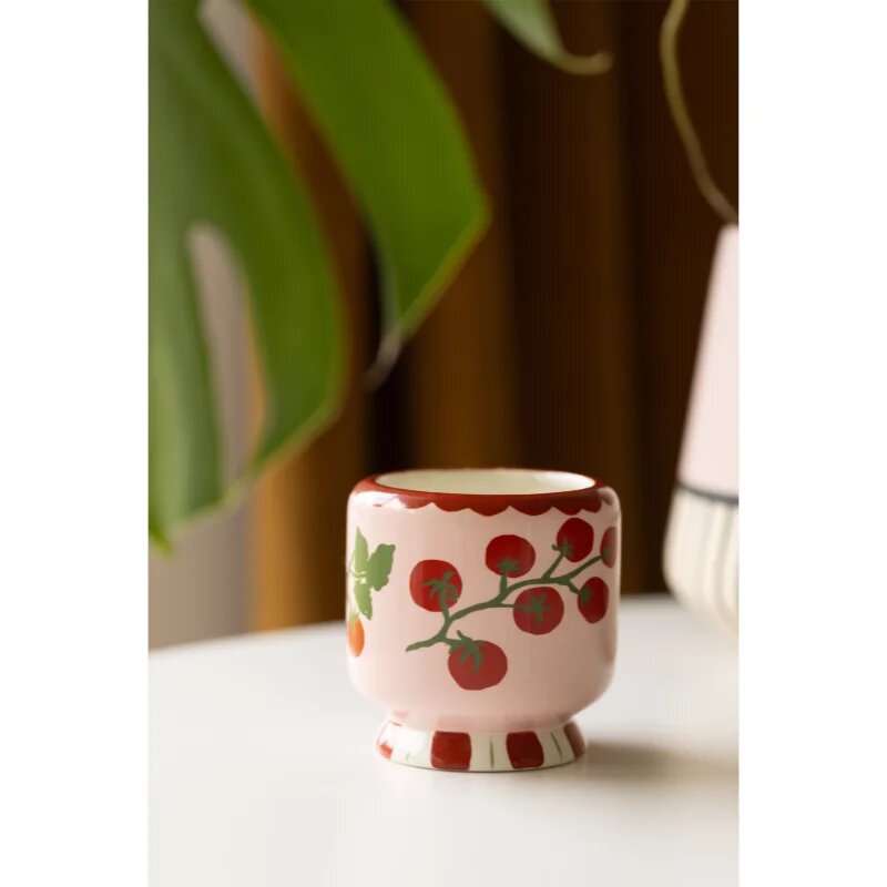 Paddywax A Dopo Tomato Vine vonná svíčka 226 g