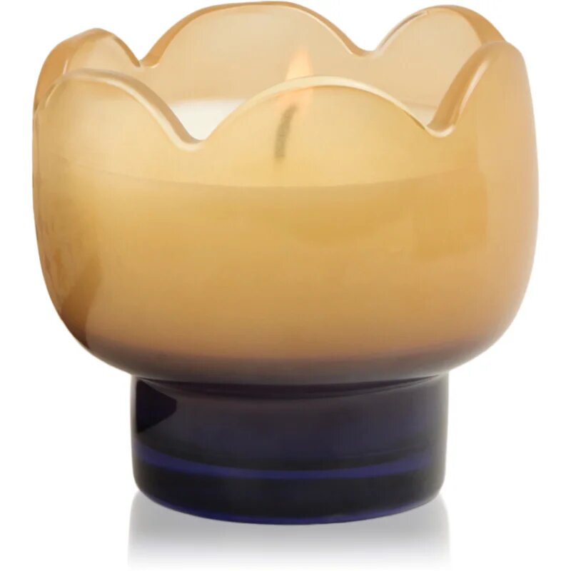 Paddywax Tulip Garden & Grove vonná svíčka 155 g