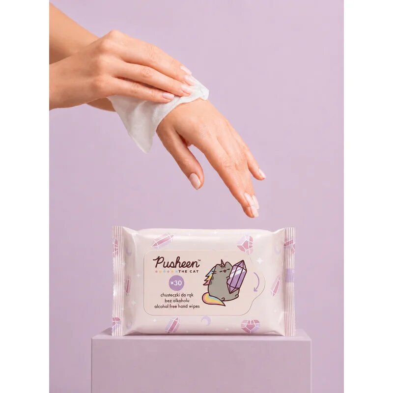 Pusheen Wet wipes vlhčené ubrousky pro děti 30 ks