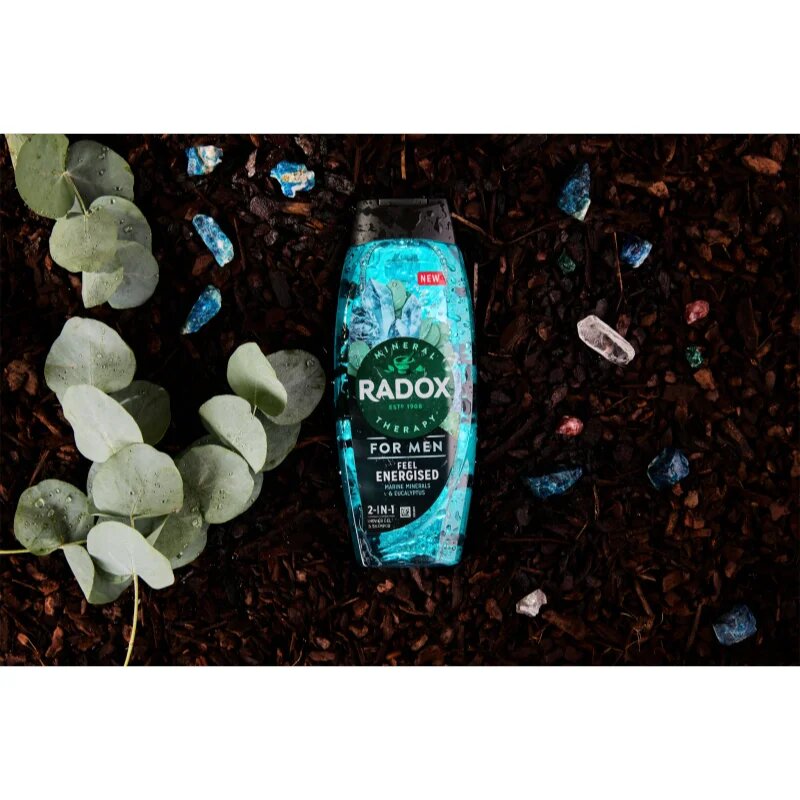 Radox Feel Energised sprchový gel pro muže 2 v 1 450 ml