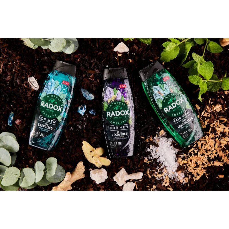 Radox Feel Energised sprchový gel pro muže 2 v 1 450 ml