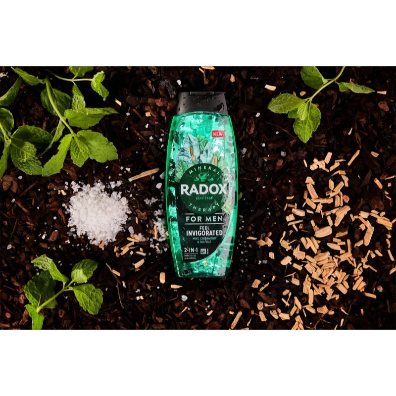 Radox Feel Invigorated sprchový gel pro muže 2 v 1 450 ml