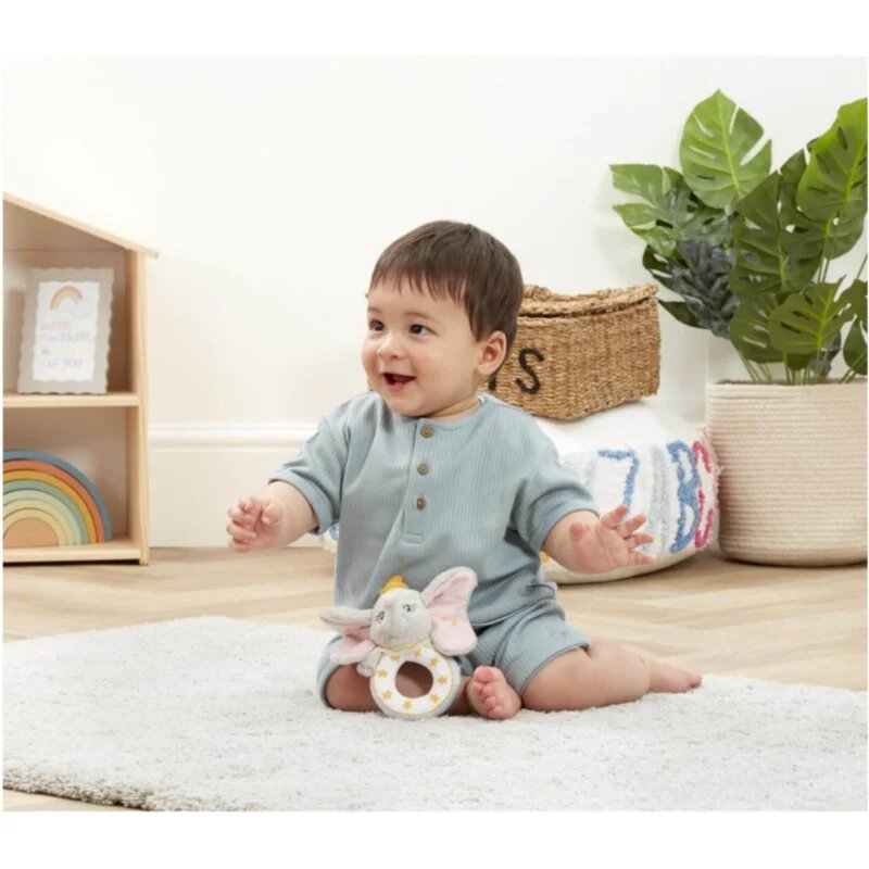 Rainbow designs limited Dumbo chrastítko 1 ks