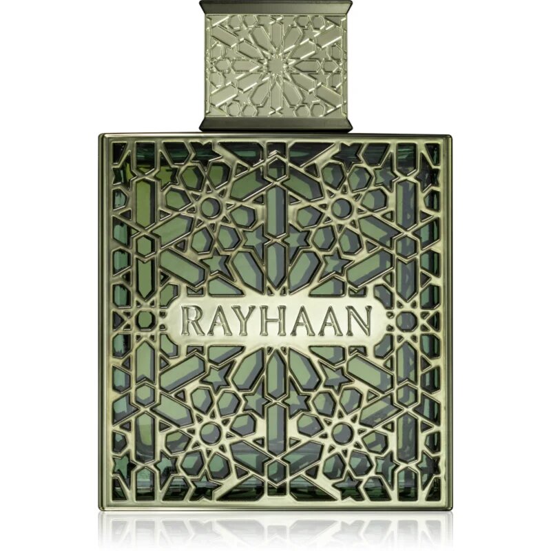 Rayhaan Terra parfémovaná voda pro muže 100 ml