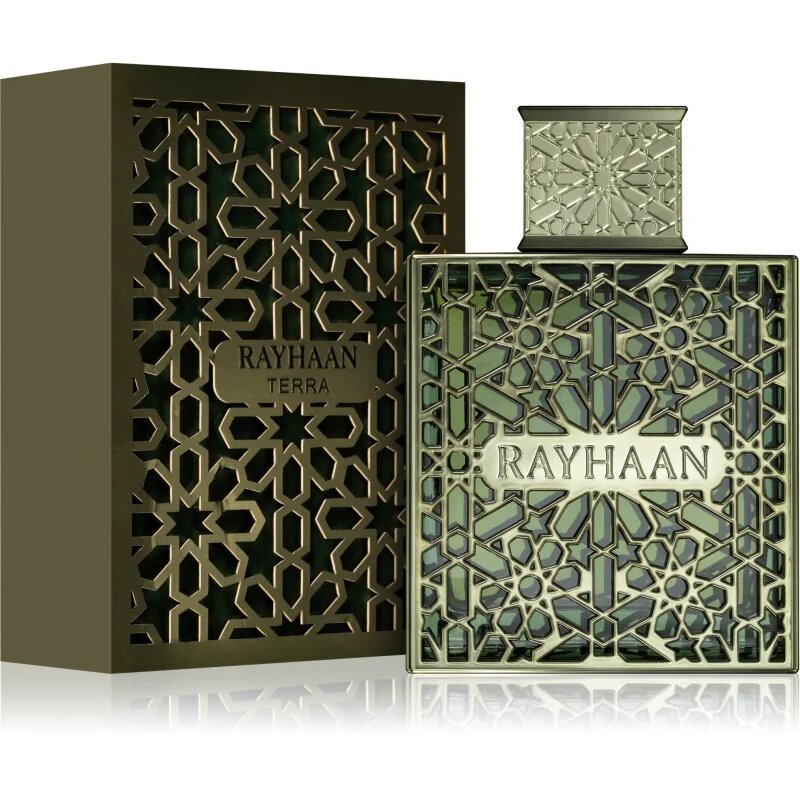 Rayhaan Terra parfémovaná voda pro muže 100 ml