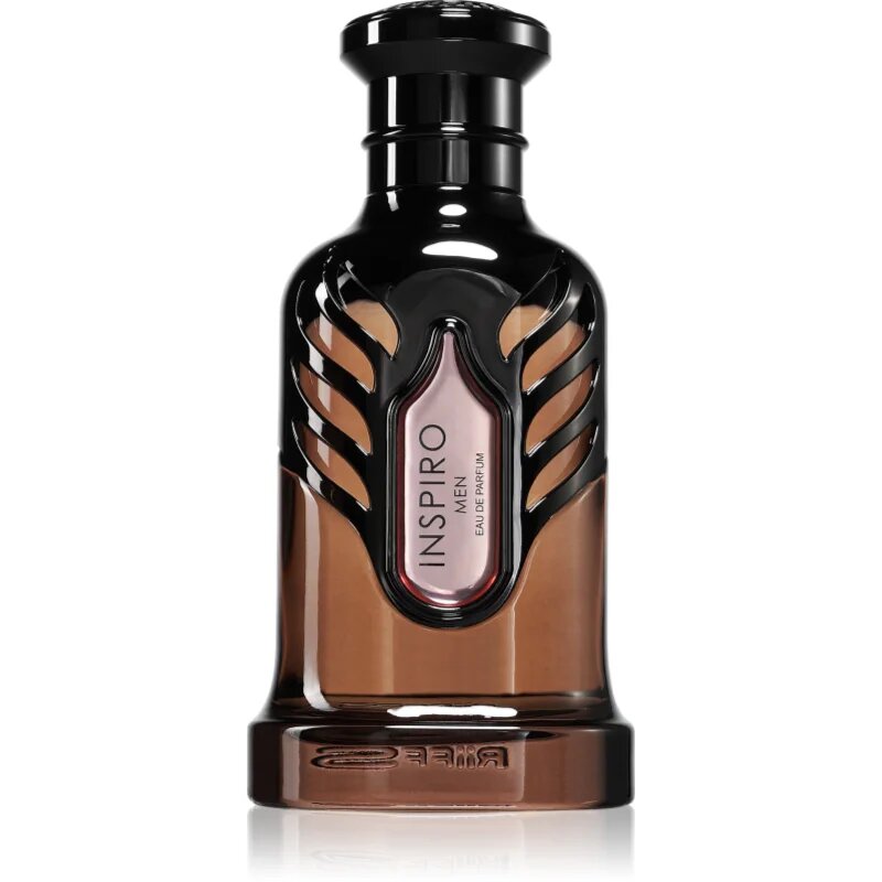 Riiffs Inspiro Men parfémovaná voda pro muže 100 ml