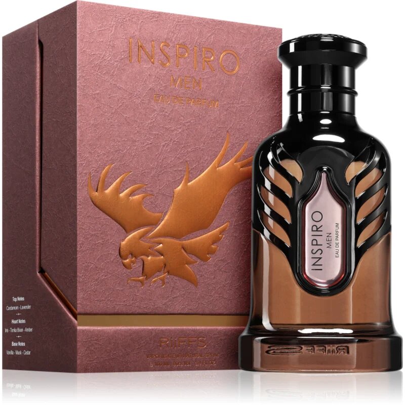 Riiffs Inspiro Men parfémovaná voda pro muže 100 ml