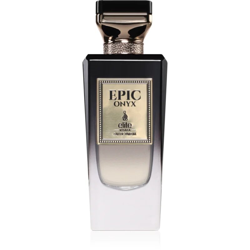 Risala Elite Epic Onyx parfémovaná voda pro muže 100 ml