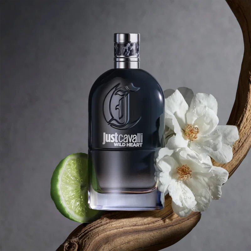 Roberto Cavalli Just Cavalli Wild Heart For Him toaletní voda pro muže 90 ml