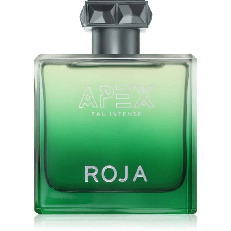 Roja Parfums Apex Eau Intense parfémovaná voda pro muže 100 ml