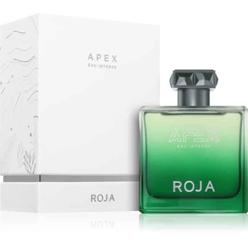 Roja Parfums Apex Eau Intense parfémovaná voda pro muže 100 ml