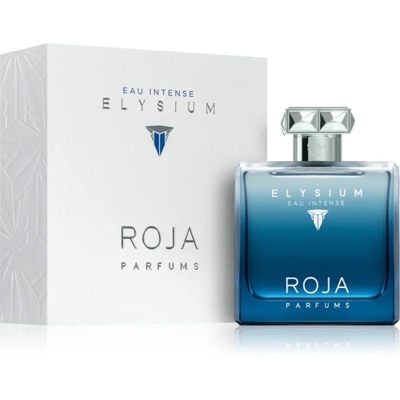 Roja Parfums Elysium Eau Intense parfémovaná voda pro muže 100 ml