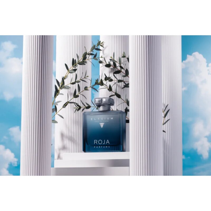 Roja Parfums Elysium Eau Intense parfémovaná voda pro muže 100 ml