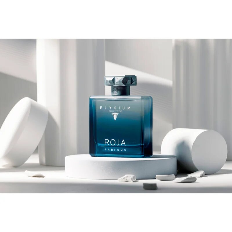 Roja Parfums Elysium Eau Intense parfémovaná voda pro muže 100 ml