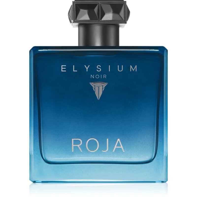 Roja Parfums Elysium Noir parfémovaná voda pro muže 100 ml
