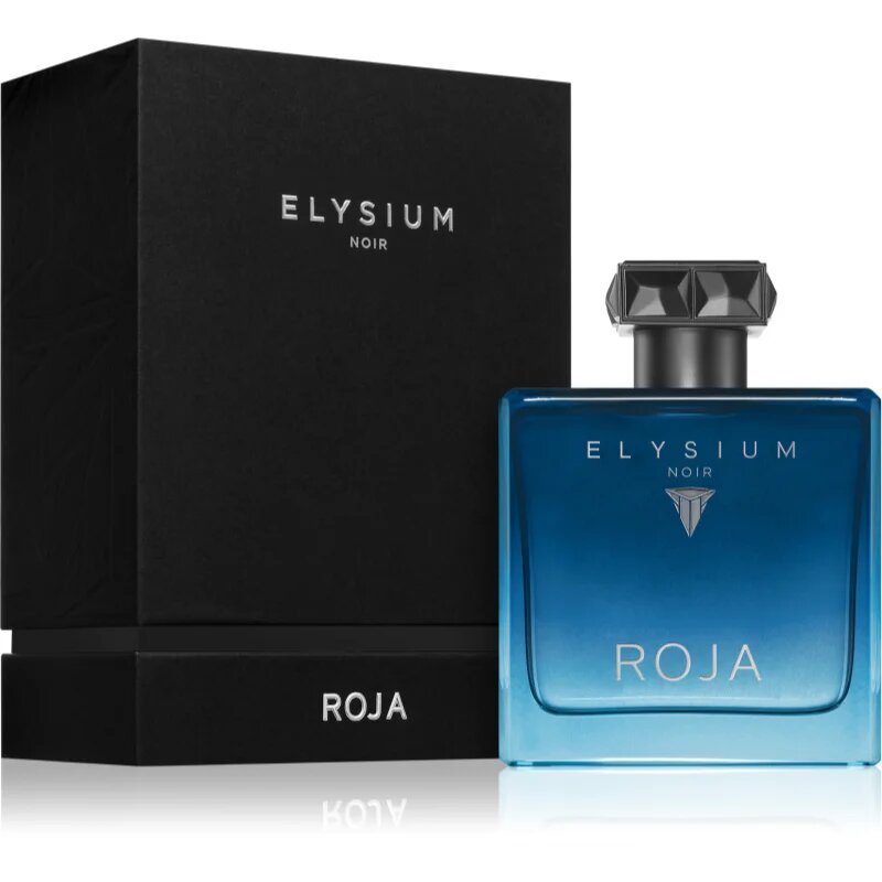 Roja Parfums Elysium Noir parfémovaná voda pro muže 100 ml