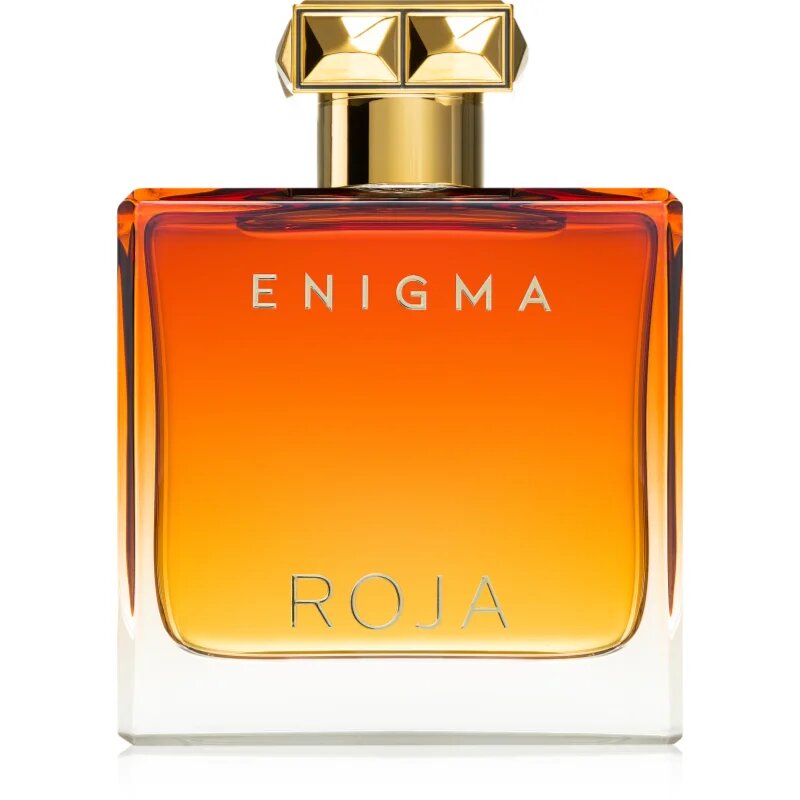 Roja Parfums Enigma parfémovaná voda pro muže 100 ml