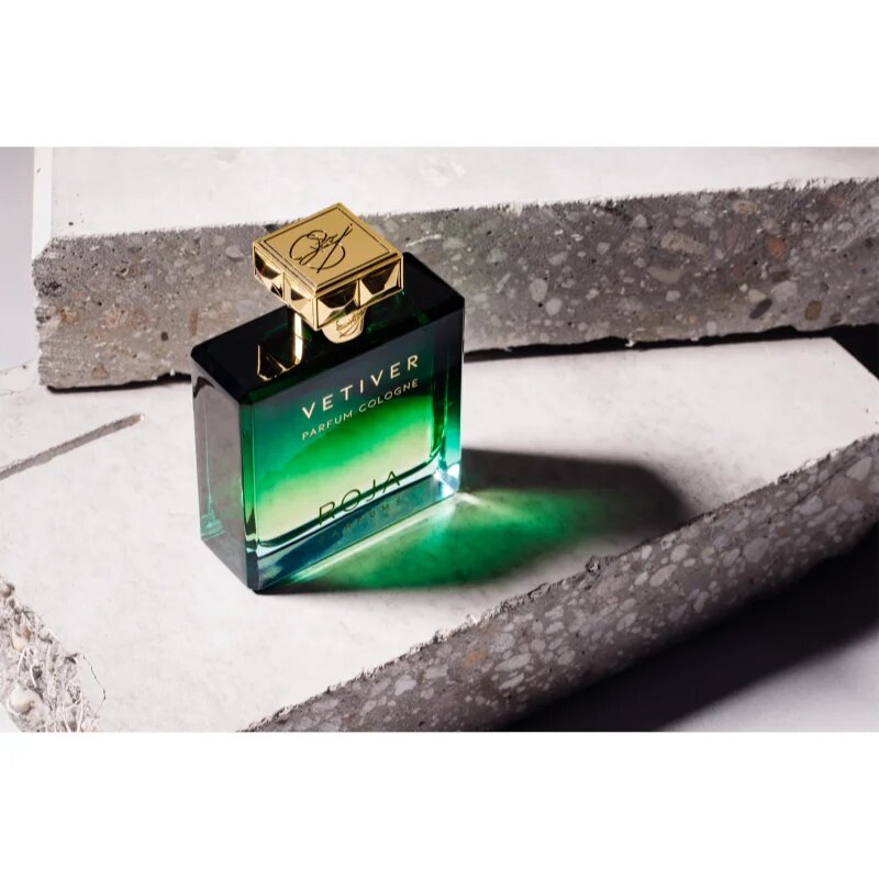 Roja Parfums Vetiver kolínská voda pro muže 100 ml