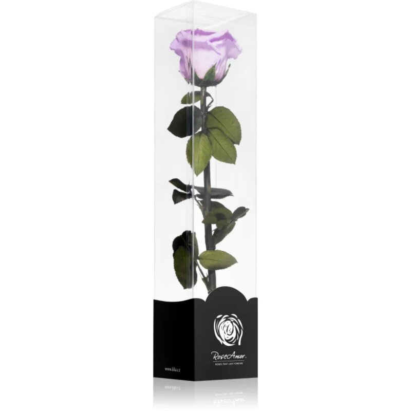RoseAmor Lila stabilizovaná růže na stonku 30 cm 1 ks