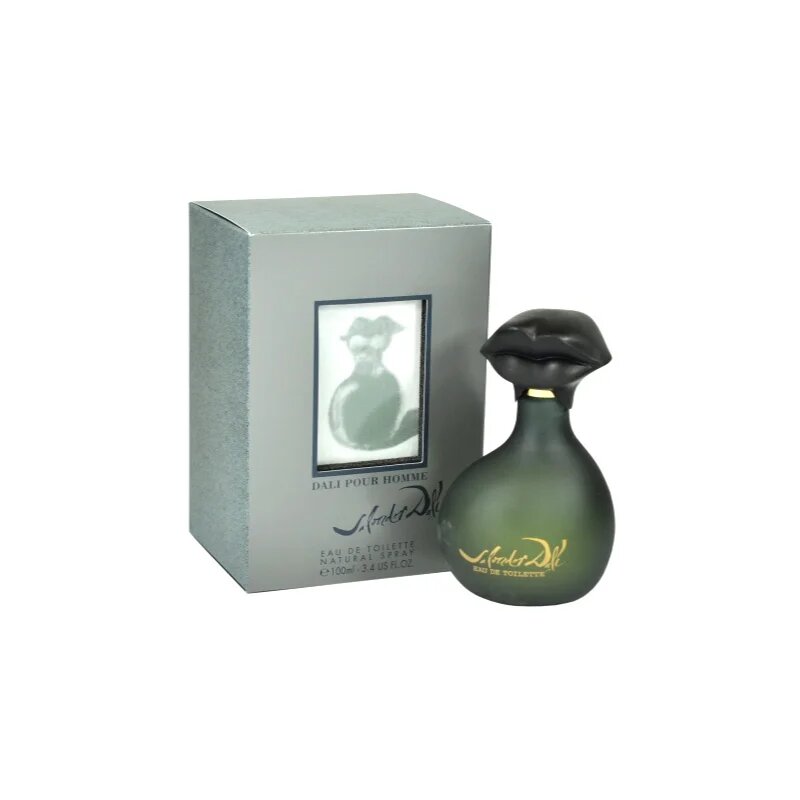 Salvador Dali Pour Homme toaletní voda pro muže 100 ml