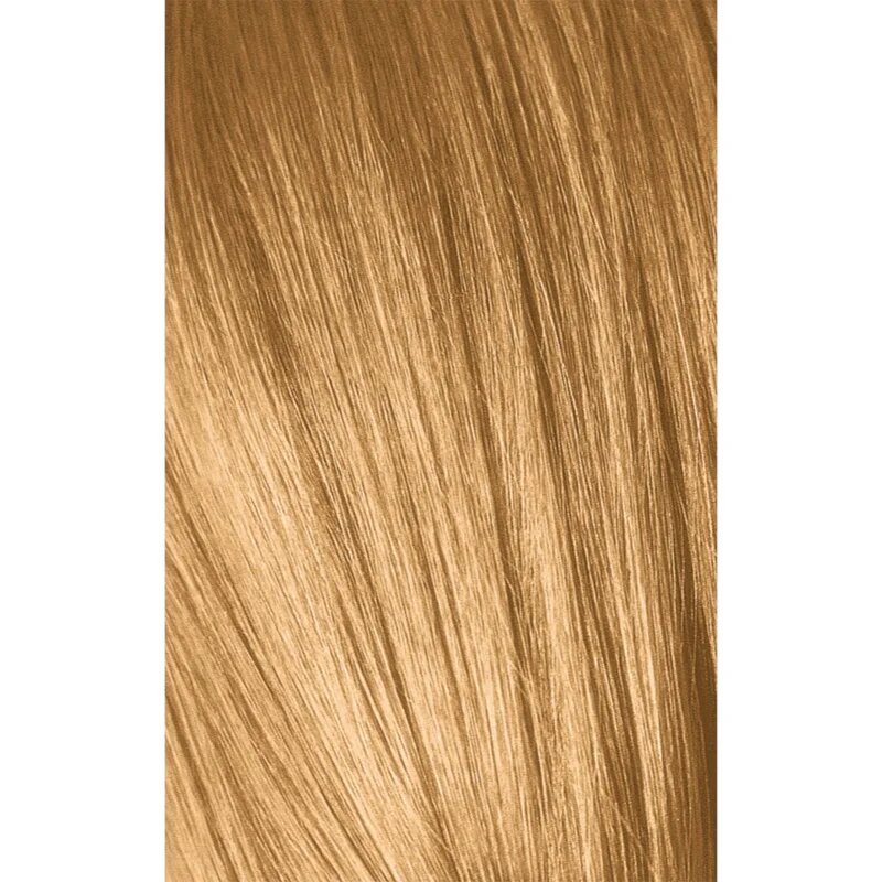 Schwarzkopf Professional IGORA Royal Absolutes barva na vlasy odstín 9-50 Extra Light Blonde Gold Natural 60 ml