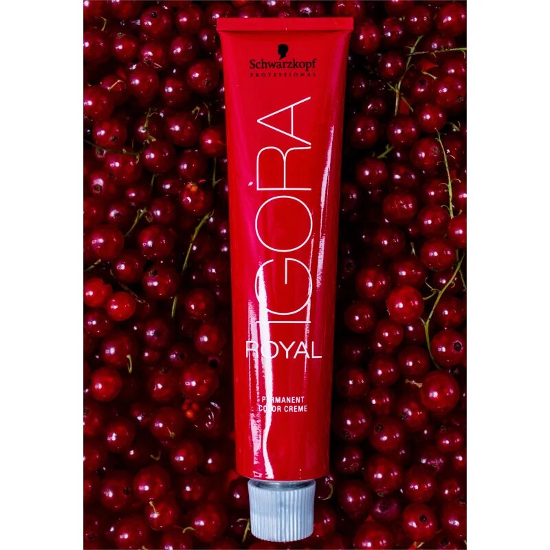 Schwarzkopf Professional IGORA Royal barva na vlasy odstín 3-68 60 ml