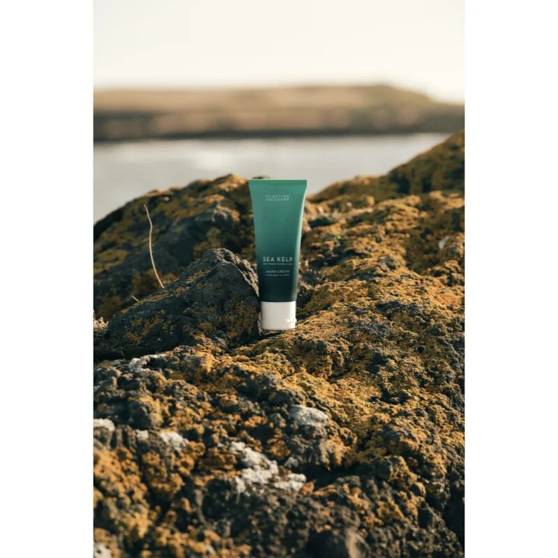 Scottish Fine Soaps Sea Kelp krém na ruce 75 ml