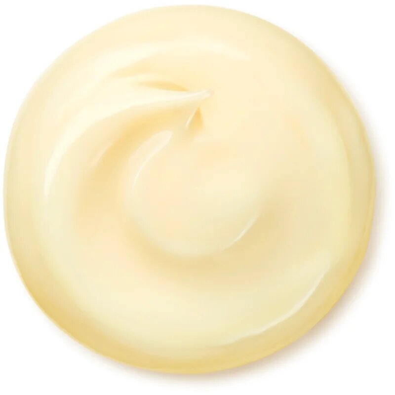 Shiseido Benefiance Wrinkle Smoothing Cream Enriched denní a noční krém proti vráskám pro suchou pleť 50 ml