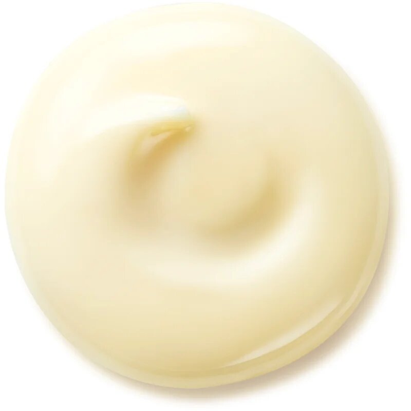 Shiseido Benefiance Wrinkle Smoothing Day Cream denní krém proti vráskám SPF 25 50 ml