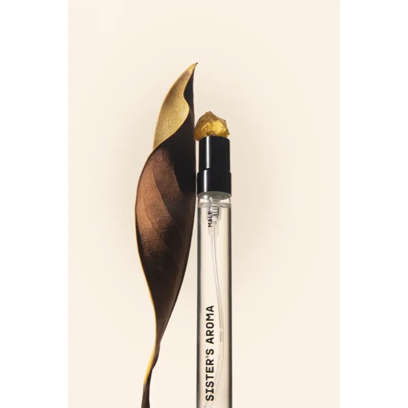 Sister's Aroma Male parfémovaná voda pro muže 10 ml
