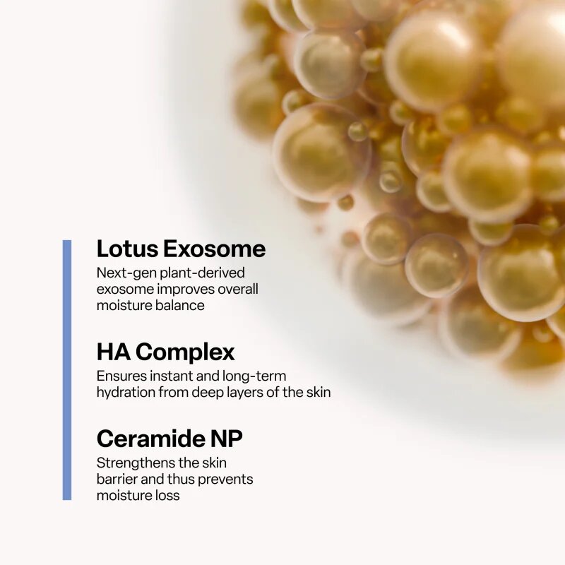 SKINSOO HydraCell Exosome Sheet Mask hydratační plátýnková maska 22 g