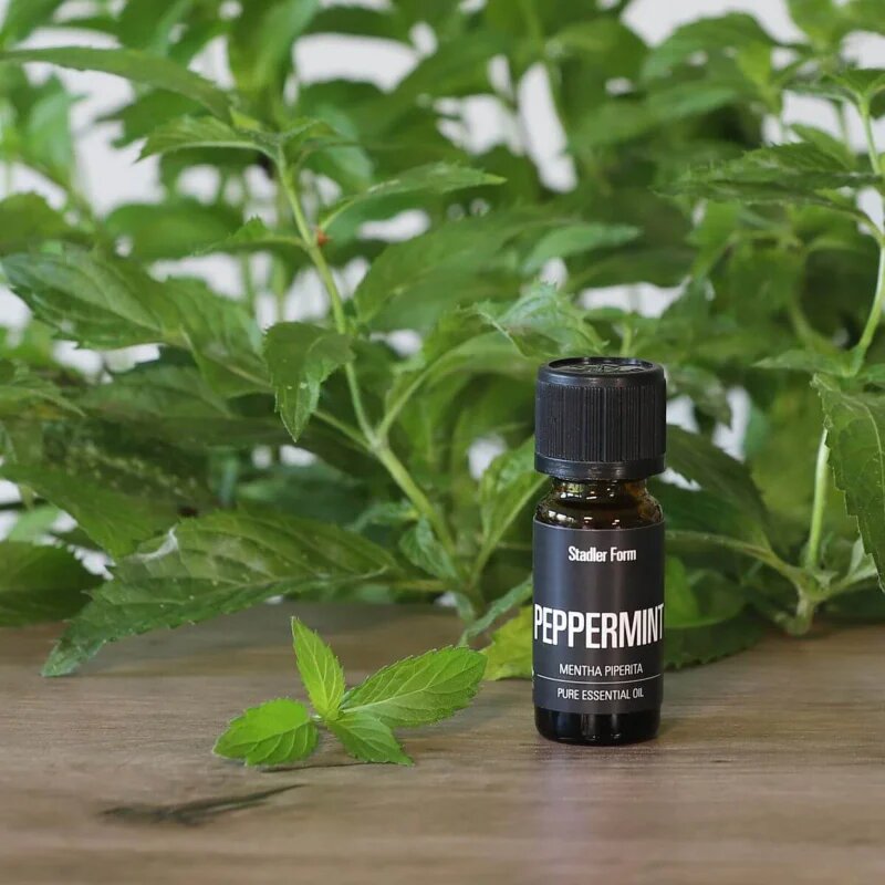 Stadler Form Peppermint esenciální olej 10 ml