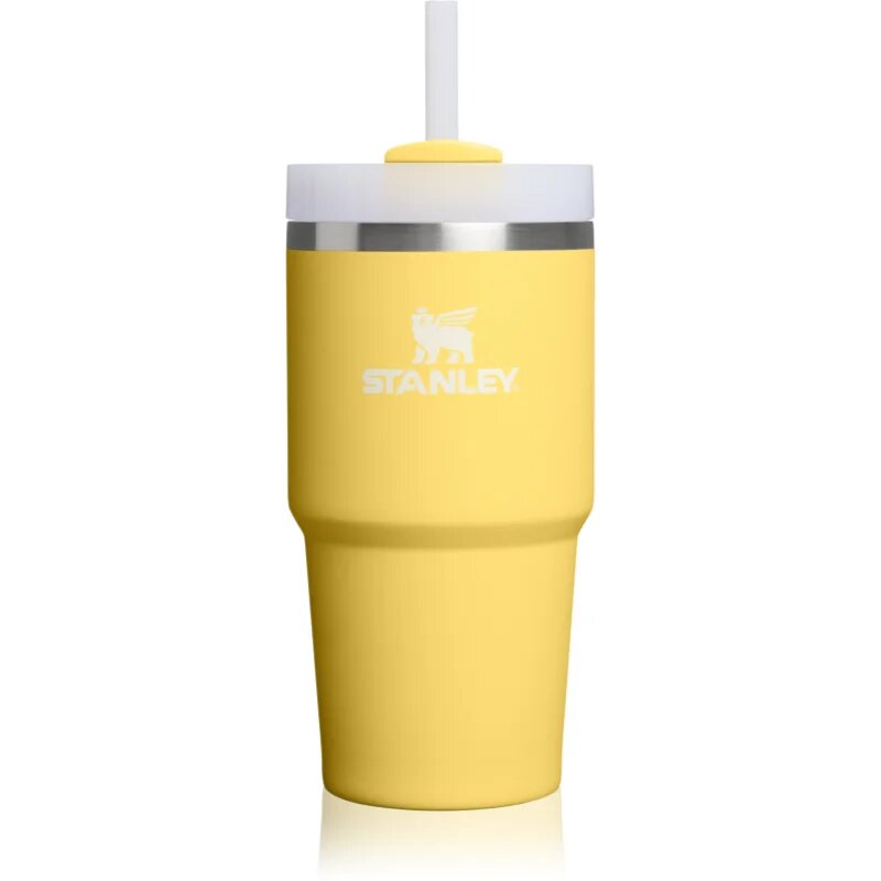 Stanley Quencher H2.O FlowState™ Tumbler nerezový tumbler s brčkem malý Daffodil 1 ks