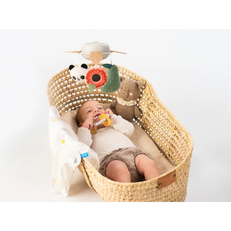 Taf Toys Luxury Newborn Kit dárková sada pro miminka