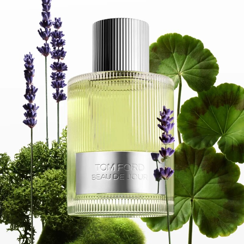 TOM FORD Beau de Jour parfémovaná voda pro muže 100 ml