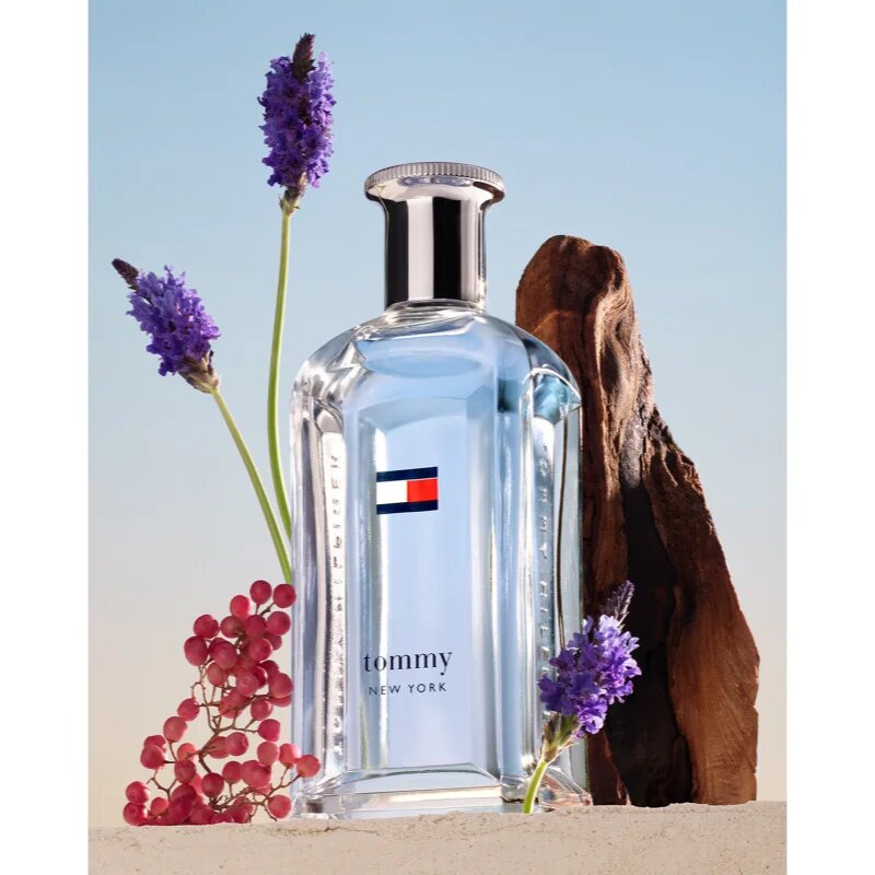 Tommy Hilfiger NEW YORK toaletní voda pro muže 100 ml