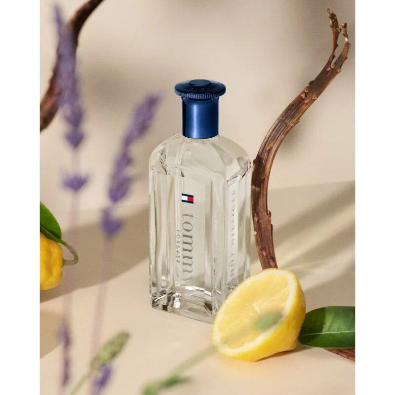 Tommy Hilfiger Tommy Forever toaletní voda pro muže 50 ml