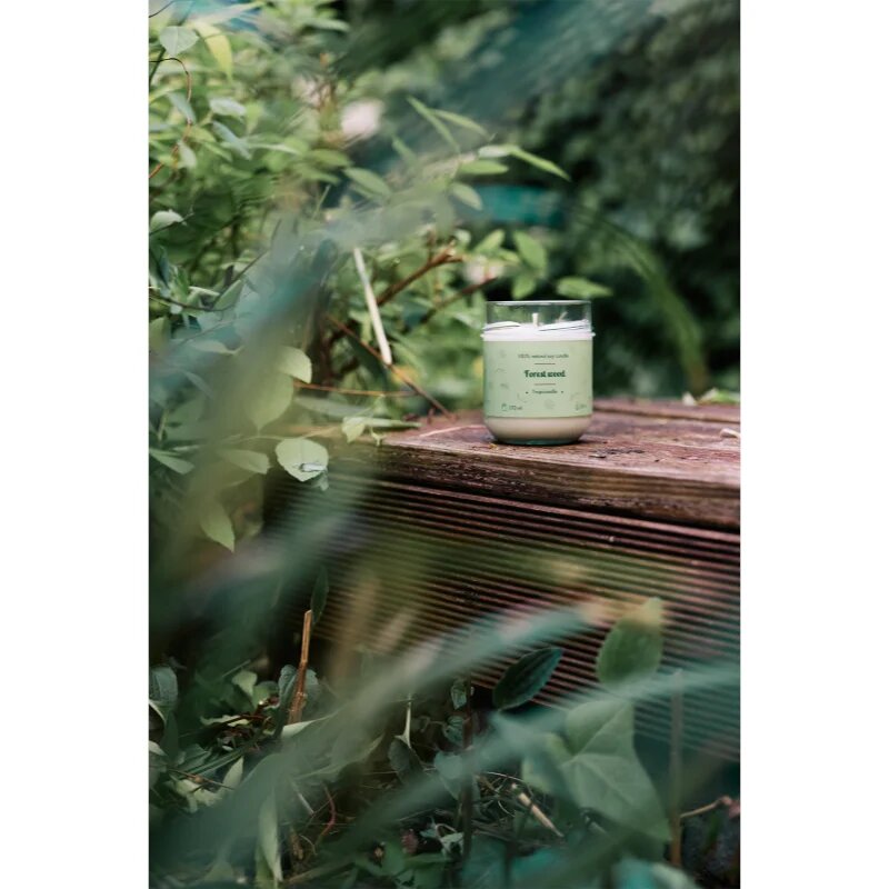 Tropicandle Forest Wood vonná svíčka 170 ml