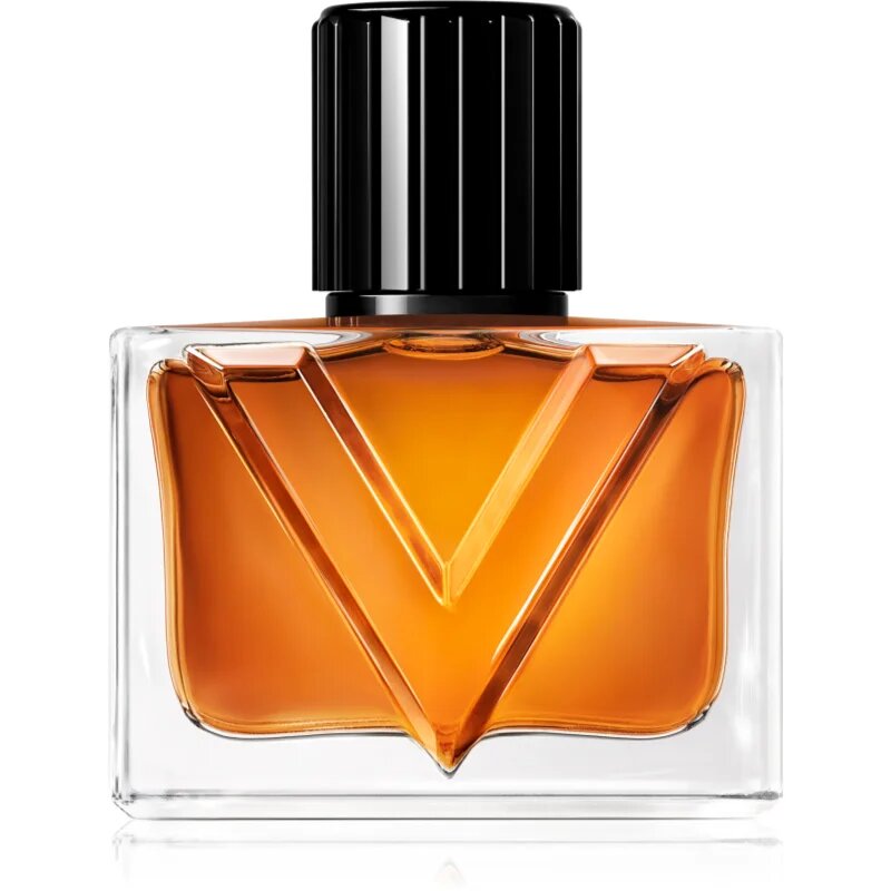 Valentino Vendetta Uomo parfémovaná voda pro muže 30 ml