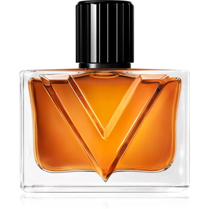 Valentino Vendetta Uomo parfémovaná voda pro muže 50 ml