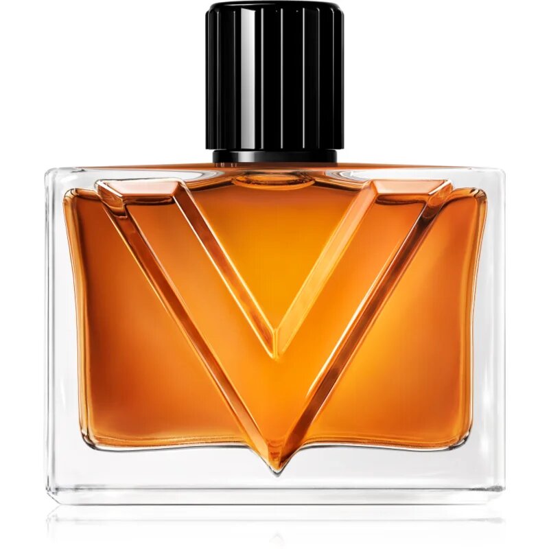 Valentino Vendetta Uomo parfémovaná voda pro muže 90 ml