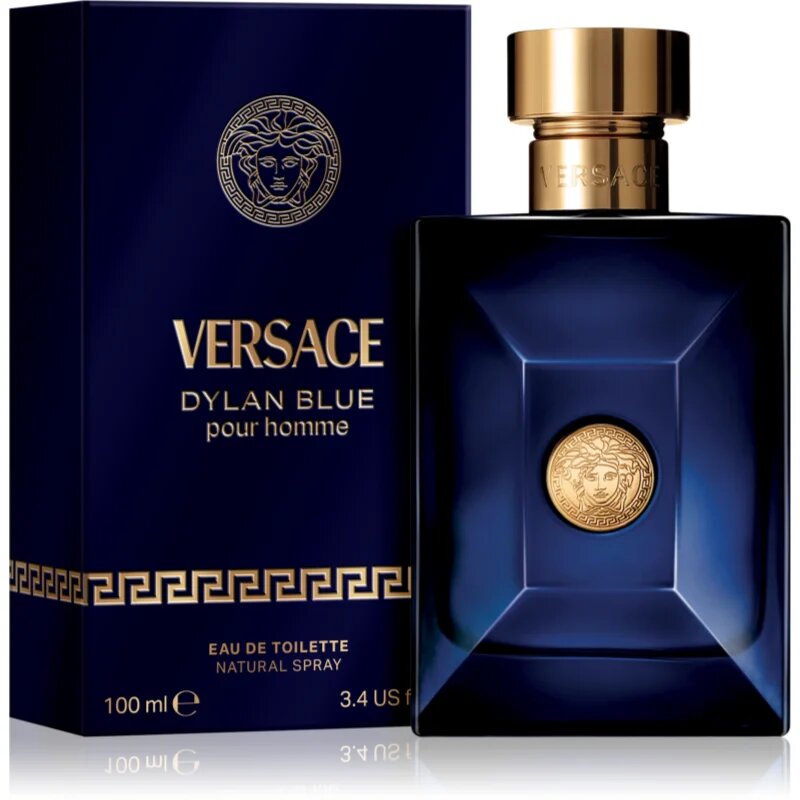 Versace Dylan Blue Pour Homme toaletní voda pro muže 100 ml