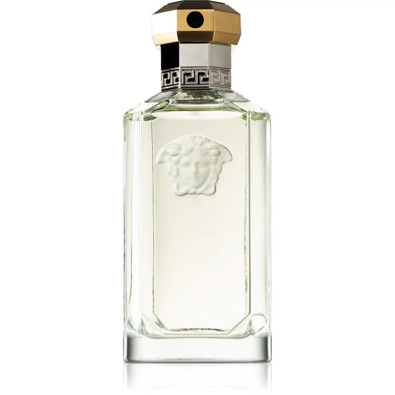 Versace The Dreamer toaletní voda pro muže 50 ml